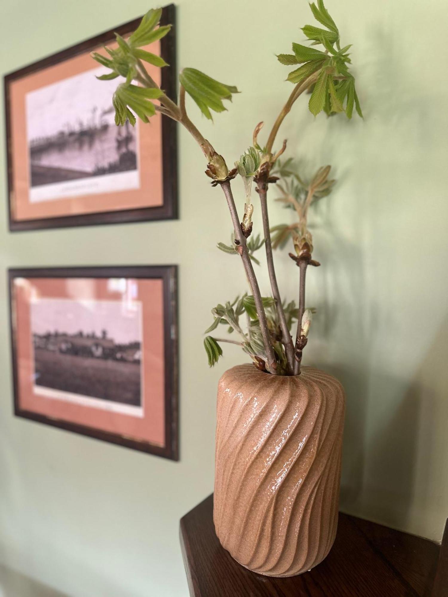 Vila Flora Juodkrante Ngoại thất bức ảnh